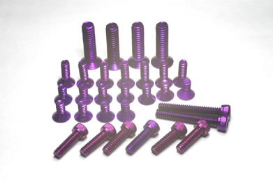 Switch Blade 12 Purple Screw Kit