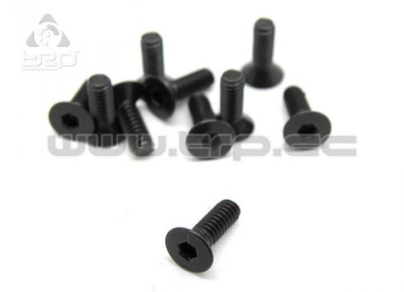 2 x 8mm 皿ビス（スチール）